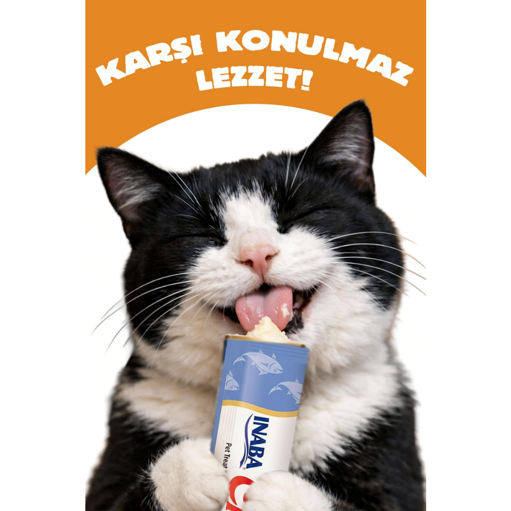 Inaba Ciao Churu Bisque Tavuklu Kedi Ödül Kreması 40 Gr