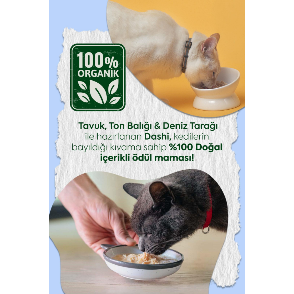 Inaba Ciao Dashi Delights Tavuk & Ton Balığı ve Deniz Taraklı Kedi Çorbası 70 Gr