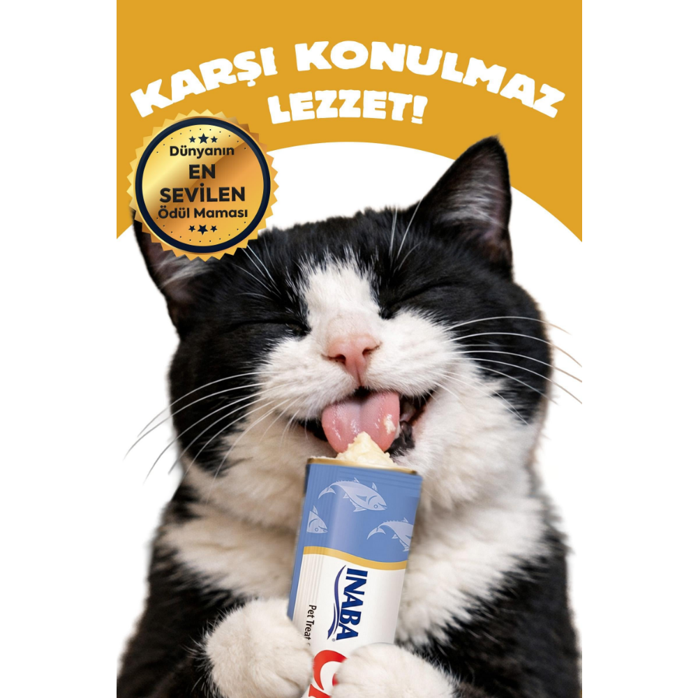 Inaba Ciao Dashi Delights Tavuk & Ton Balığı ve Deniz Taraklı Kedi Çorbası 70 Gr
