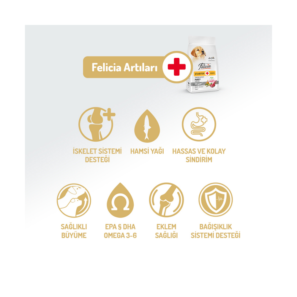 Felicia Az Tahıllı 3 Kg Yavru Kuzulu Small/Mini HypoAllergenic Köpek Maması