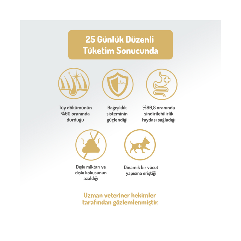 Felicia Az Tahıllı 3 Kg Yavru Kuzulu Small/Mini HypoAllergenic Köpek Maması