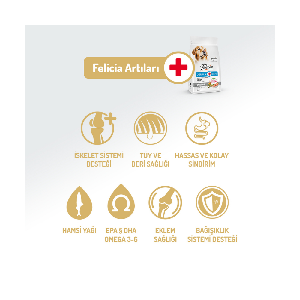 Felicia Az Tahıllı 3 Kg Yetişkin Somonlu M/Large Breed HypoAllergenic Köpek Maması