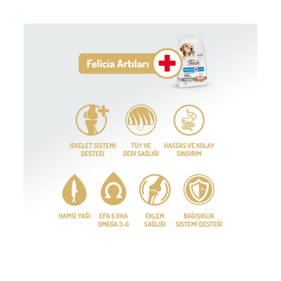 Felicia Az Tahıllı 15 Kg Yetişkin Somonlu M/Large Breed HypoAllergenic Köpek Maması