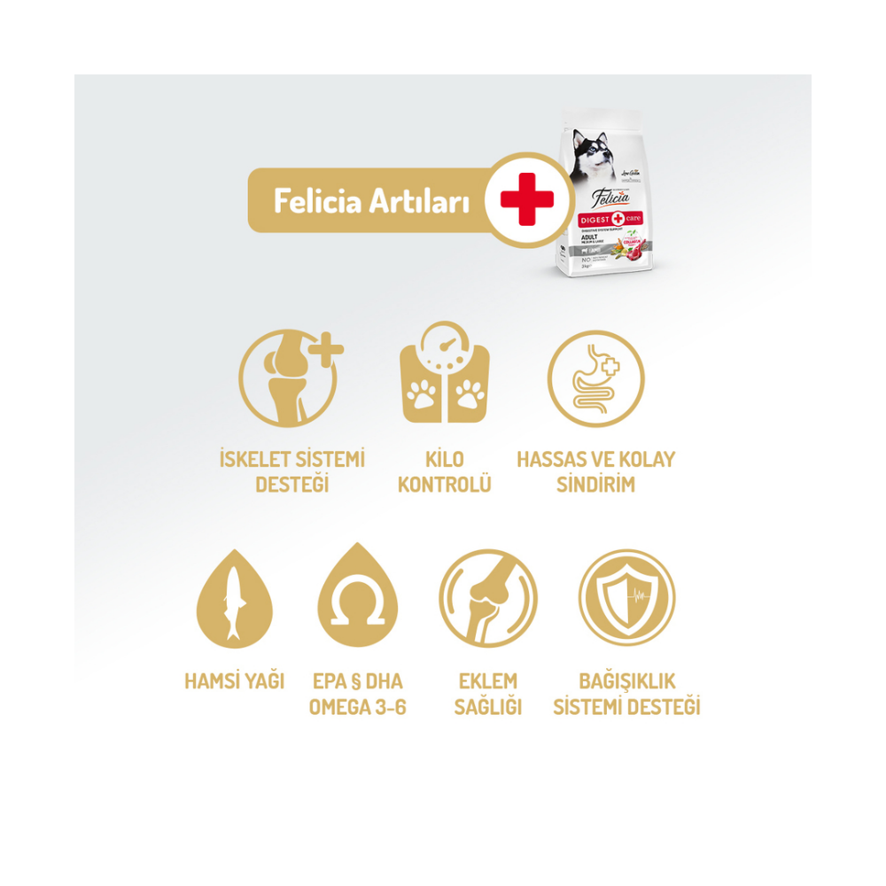Felicia Az Tahıllı 3 Kg Yetişkin Kuzulu M/Large Breed HypoAllergenic Köpek Maması