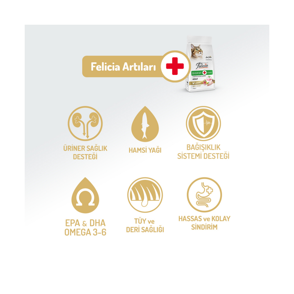 Felicia Az Tahıllı 12 Kg Yetişkin Tavuklu HypoAllergenic Kedi Maması