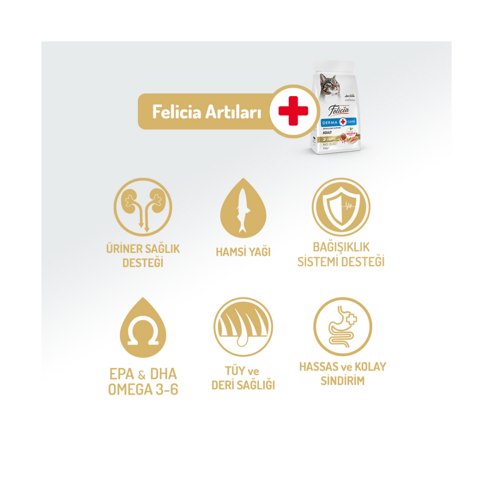 Felicia Az Tahıllı 2 Kg Yetişkin Somonlu HypoAllergenic Kedi Maması