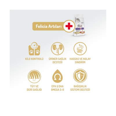Felicia Az Tahıllı 2 Kg Sterilised Somonlu HypoAllergenic Kedi Maması