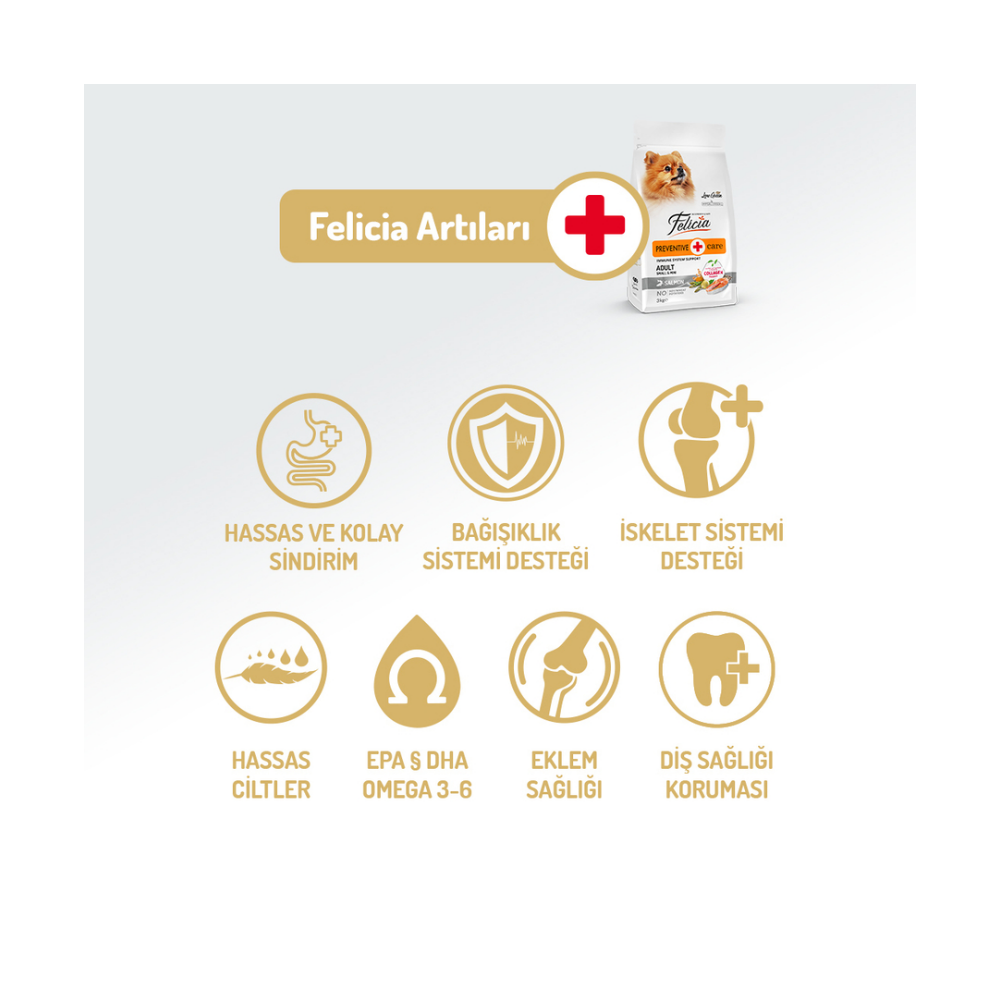 Felicia Az Tahıllı 3 Kg Yetişkin Somonlu Small /Mini HypoAllergenic Köpek Maması