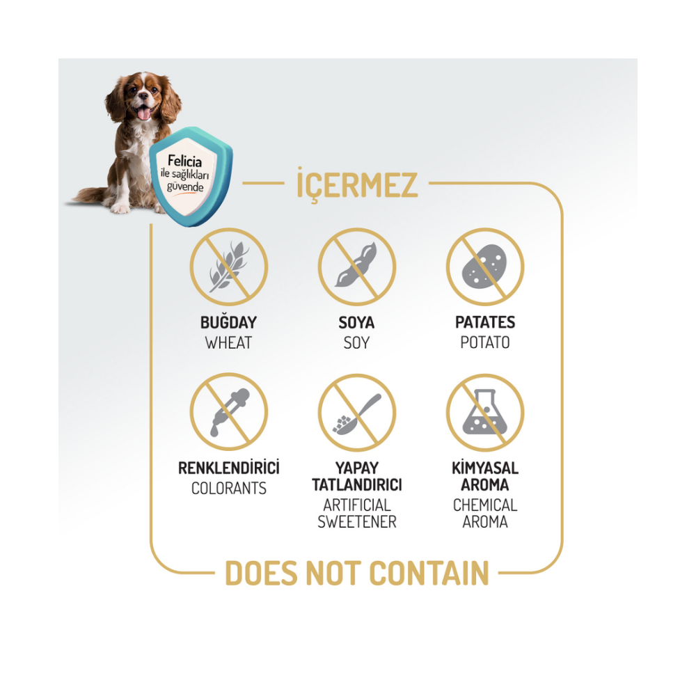 Felicia Az Tahıllı 3 Kg Yetişkin Somonlu Small /Mini HypoAllergenic Köpek Maması