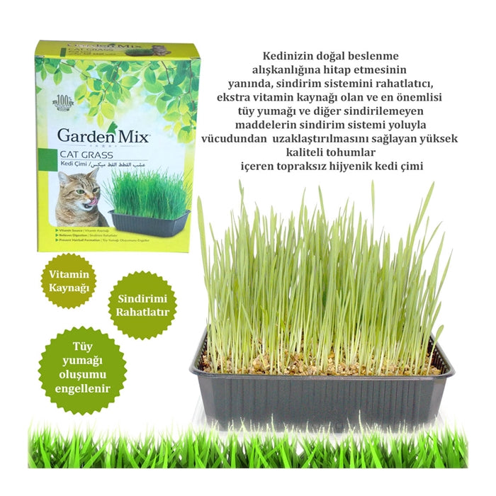 Garden Mix Kedi Çimi