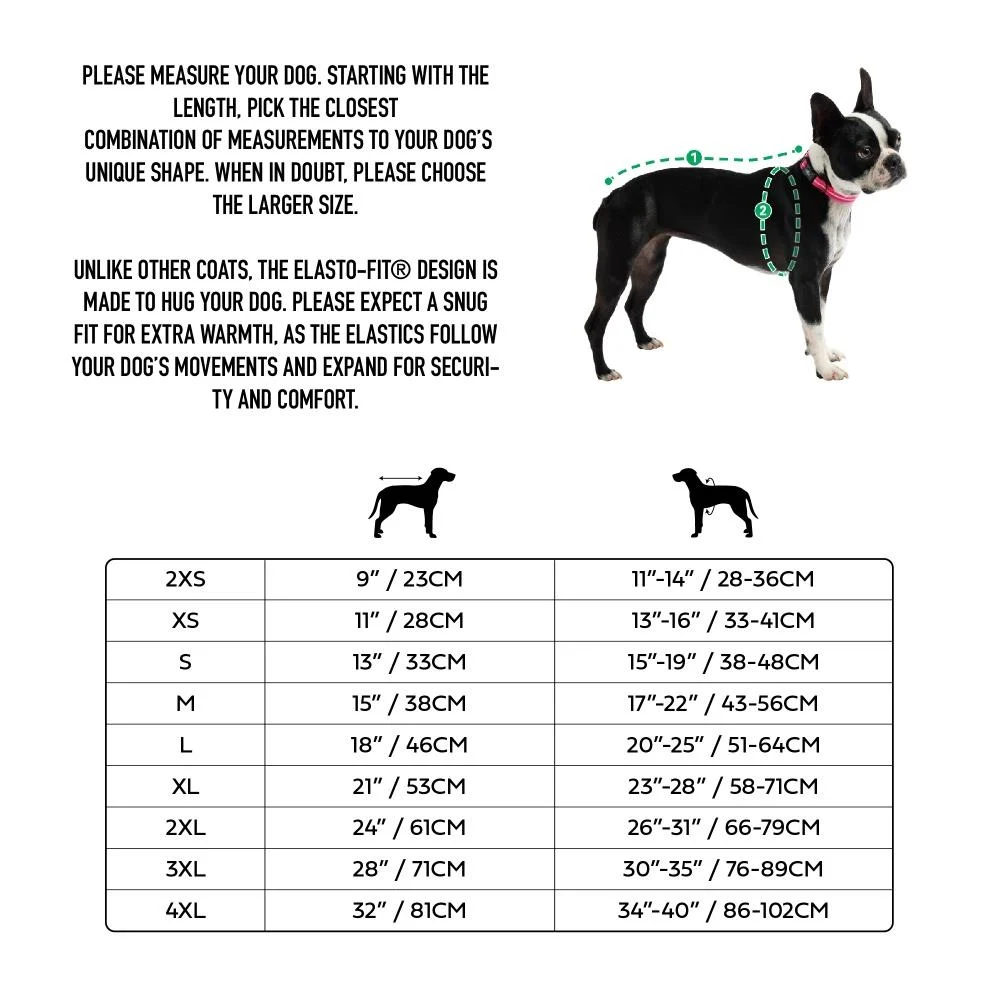 GF Pet Graphic Tee Köpek Tshirt - Aqua