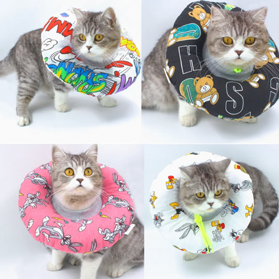 Lepus Kedi Ve Köpek Boyunluk (M) Mix