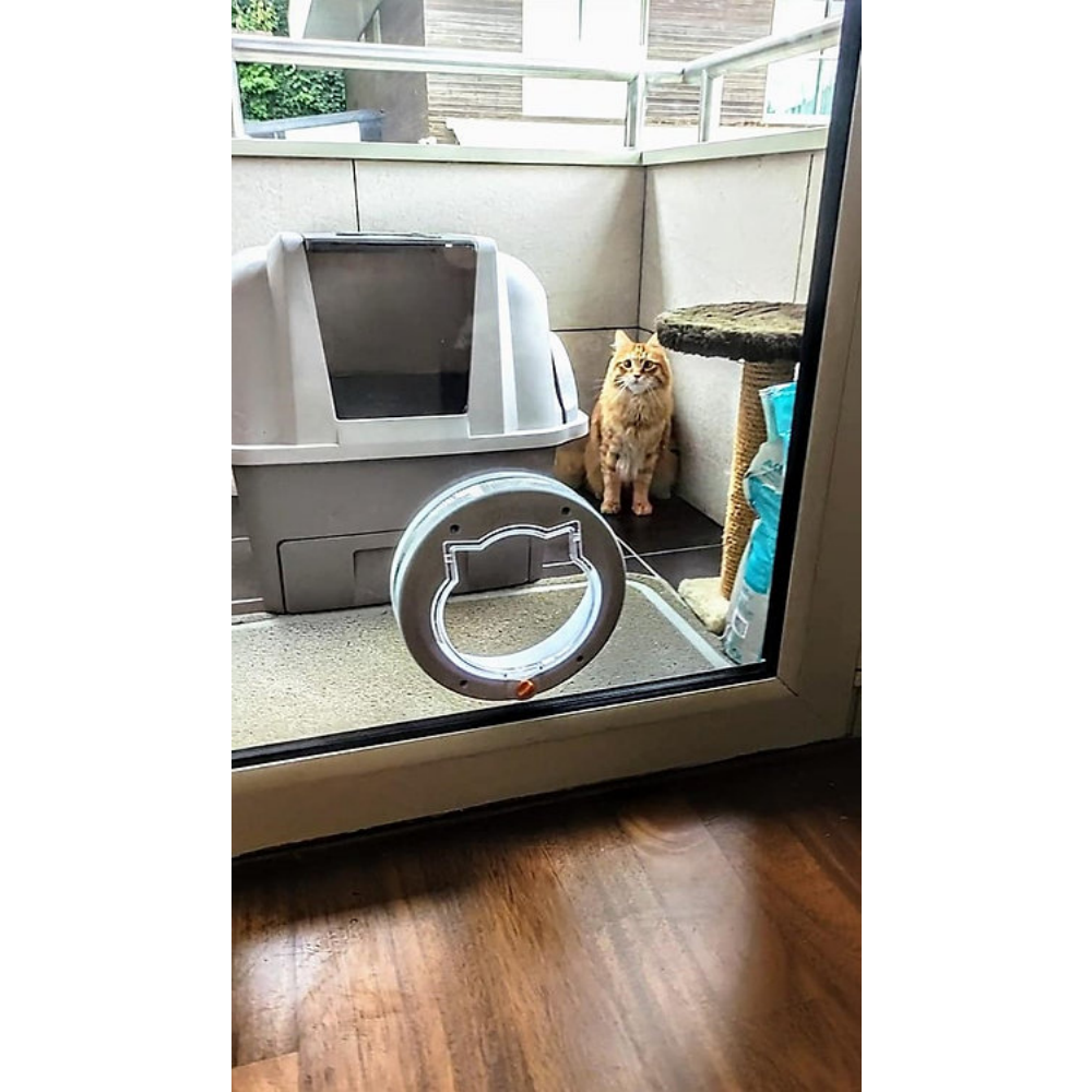 Patidoor Kedi Köpek Kapısı, 4 Yönlü Kilit Sistemli Beyaz