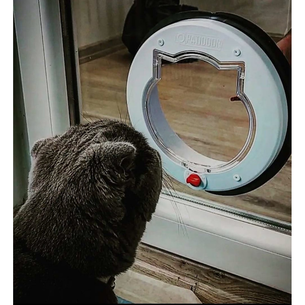 Patidoor Kedi Köpek Kapısı, 4 Yönlü Kilit Sistemli Beyaz