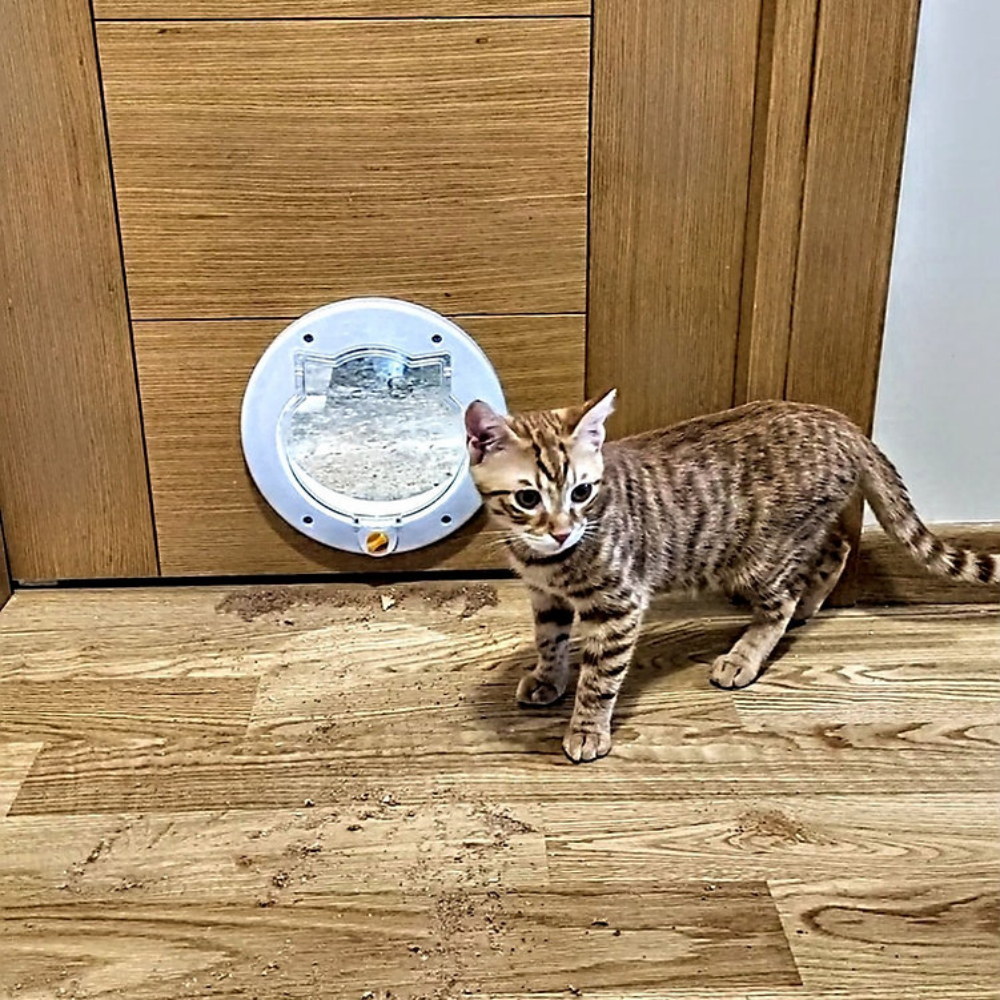 Patidoor Kedi Köpek Kapısı, 4 Yönlü Kilit Sistemli Beyaz
