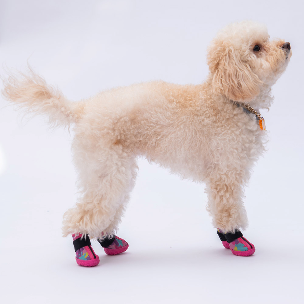 PawStar Rosea Camouflage Köpek Ayakkabısı Size:1