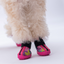 PawStar Rosea Camouflage Köpek Ayakkabısı Size:1