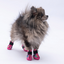 PawStar Rosea Camouflage Köpek Ayakkabısı Size:1