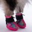 PawStar Rosea Camouflage Köpek Ayakkabısı Size:1