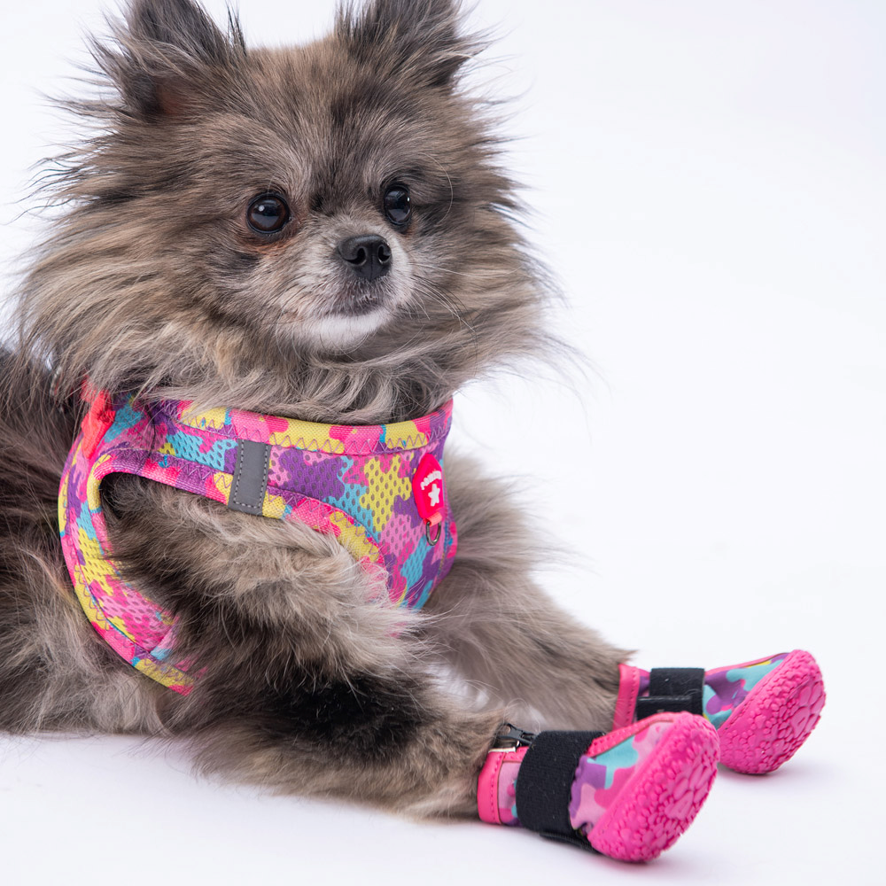 PawStar Rosea Camouflage Köpek Ayakkabısı Size:1
