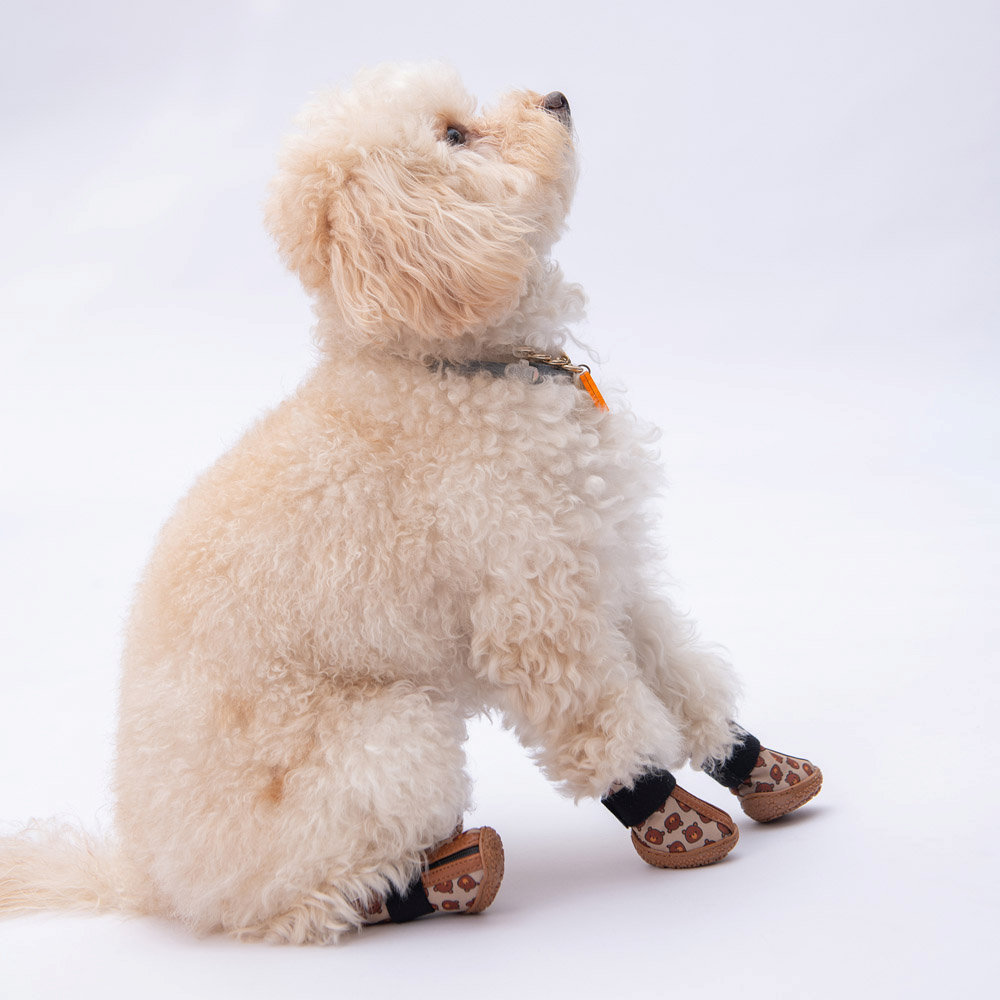 PawStar Bears Köpek Ayakkabısı Size:6