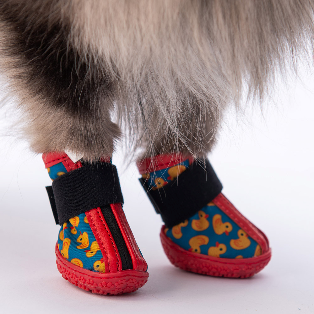 PawStar Ducks Köpek Ayakkabısı Size:1