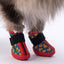 PawStar Ducks Köpek Ayakkabısı Size:1