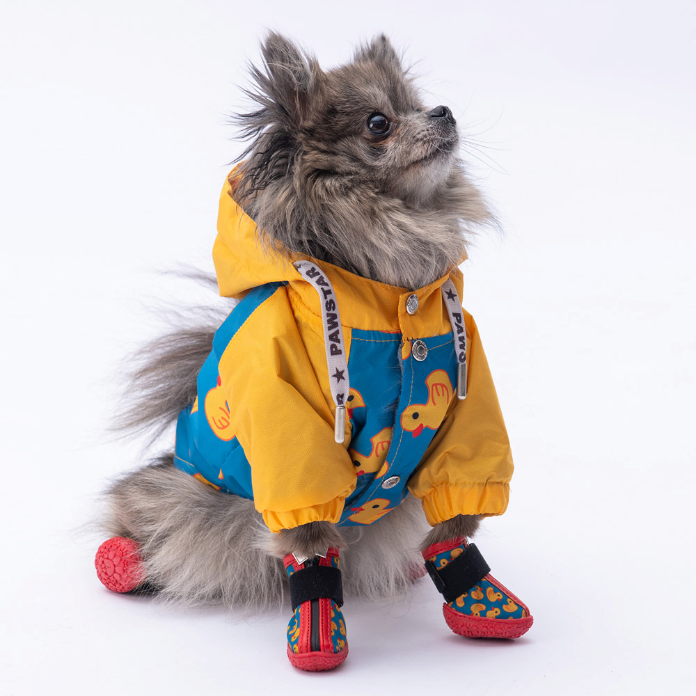 PawStar Ducks Köpek Ayakkabısı Size:3
