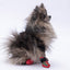 PawStar Ducks Köpek Ayakkabısı Size:3
