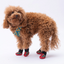 PawStar Ducks Köpek Ayakkabısı Size:4
