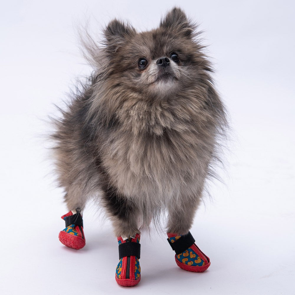 PawStar Ducks Köpek Ayakkabısı Size:4