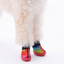 PawStar Peru Köpek Ayakkabısı Size:3