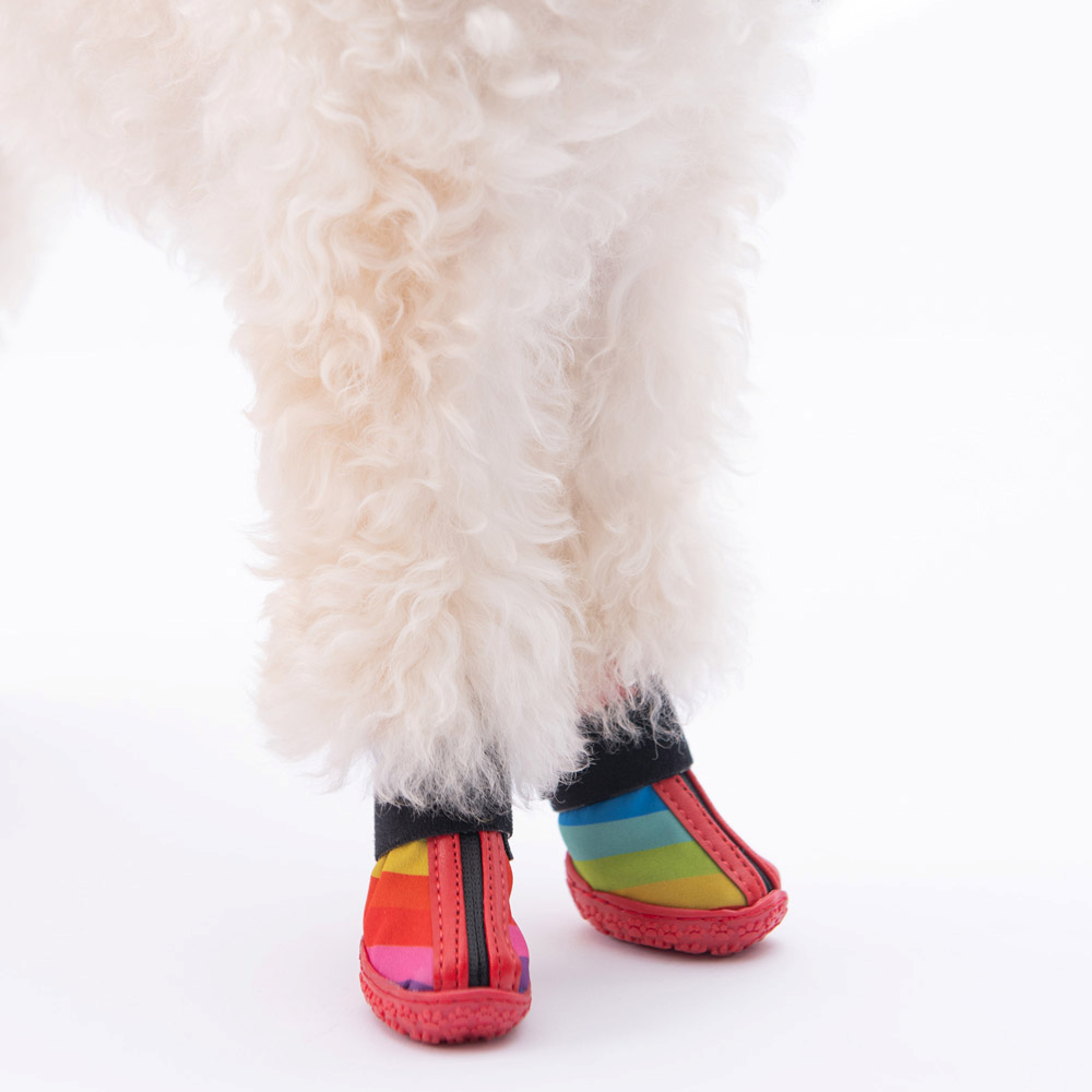 PawStar Peru Köpek Ayakkabısı Size:3