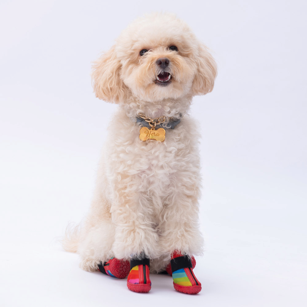 PawStar Peru Köpek Ayakkabısı Size:6