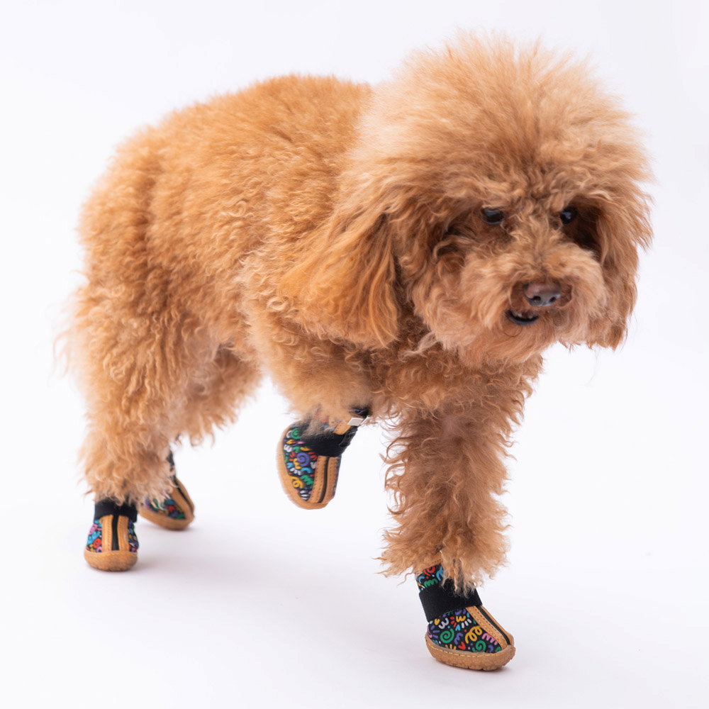 PawStar Ferrara Köpek Ayakkabısı Size:1