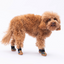 PawStar Ferrara Köpek Ayakkabısı Size:3