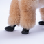 PawStar Siyah Airmesh Köpek Ayakkabısı Size:3
