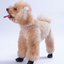 PawStar Siyah Airmesh Köpek Ayakkabısı Size:4