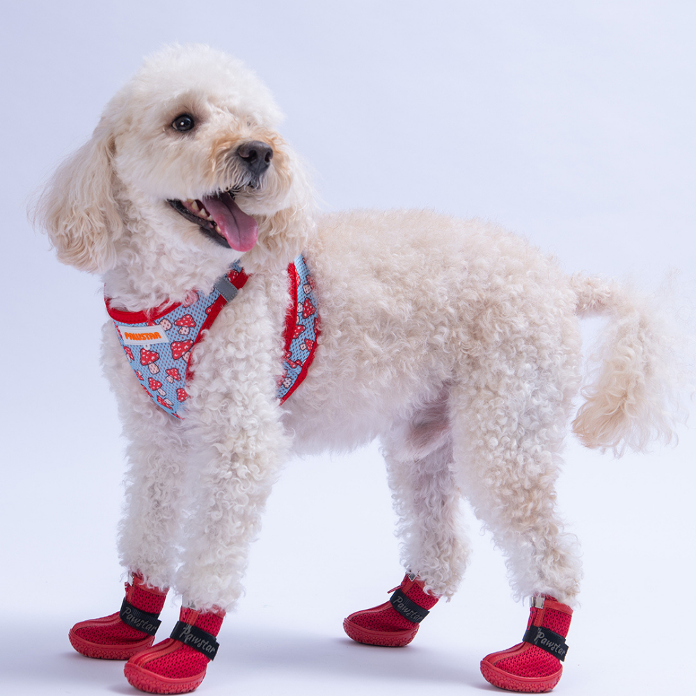 PawStar Kırmızı Airmesh Köpek Ayakkabısı Size:1
