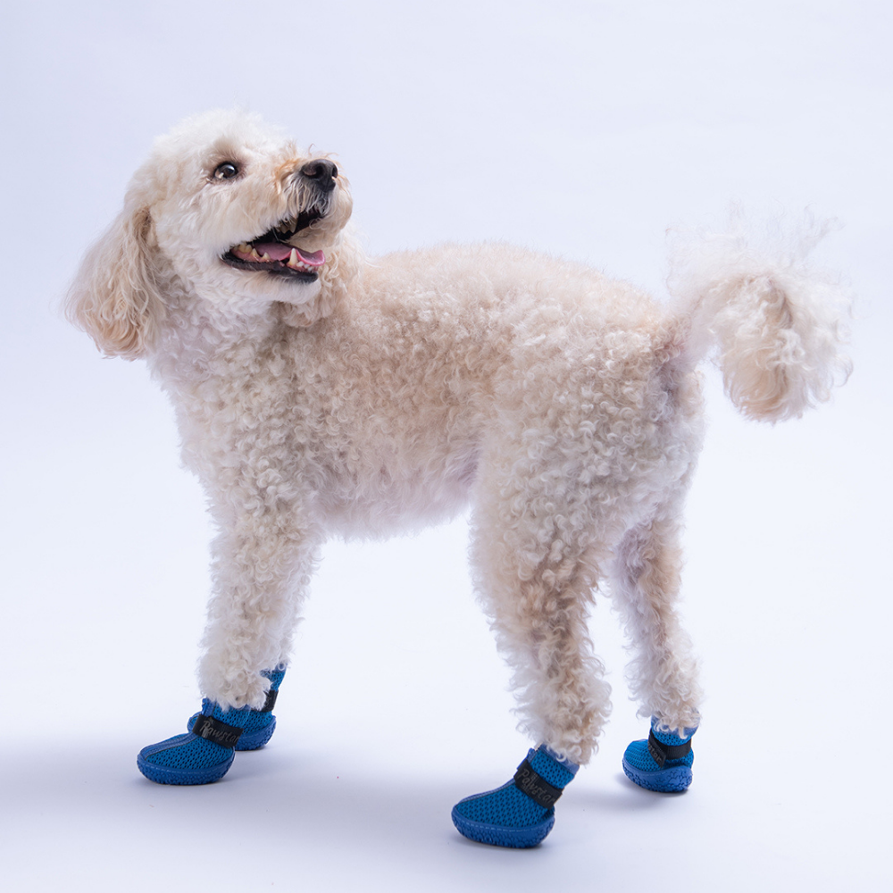 PawStar Mavi Airmesh Köpek Ayakkabısı Size:2