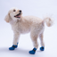 PawStar Mavi Airmesh Köpek Ayakkabısı Size:6