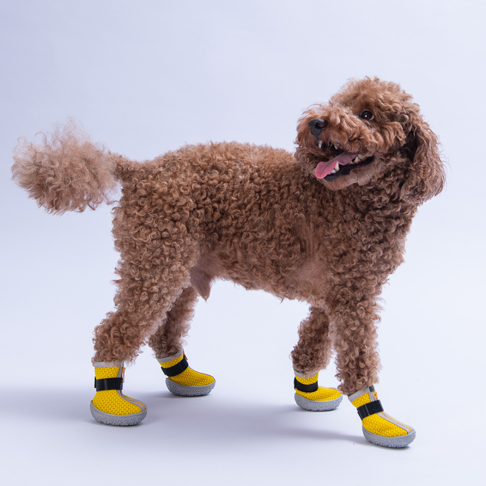 PawStar Sarı Airmesh Köpek Ayakkabısı Size:2
