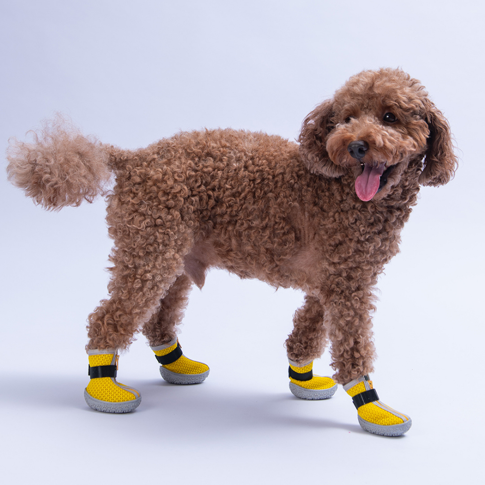 PawStar Sarı Airmesh Köpek Ayakkabısı Size:2