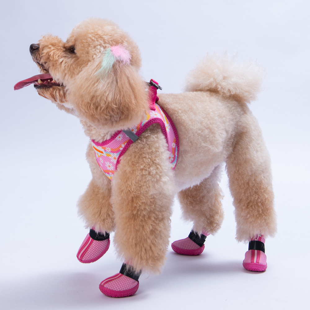 PawStar Pembe Airmesh Köpek Ayakkabısı Size:3