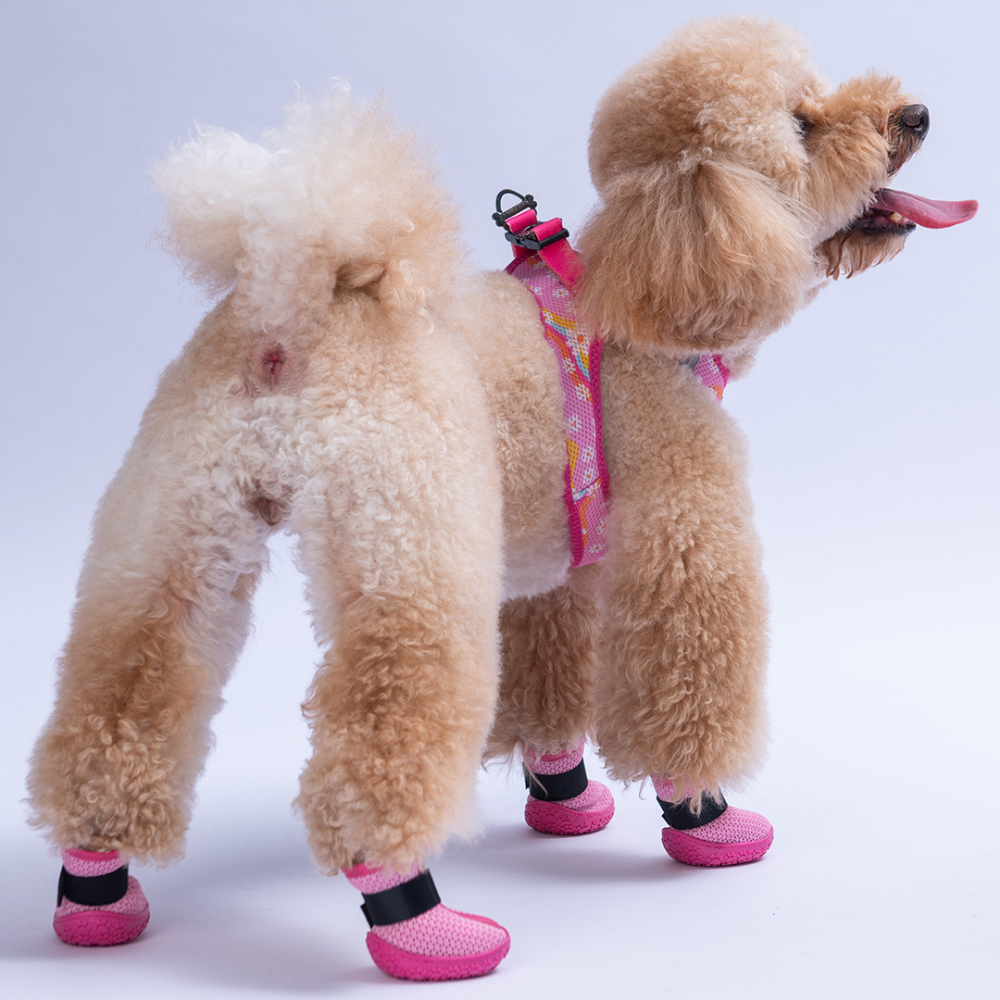 PawStar Pembe Airmesh Köpek Ayakkabısı Size:5