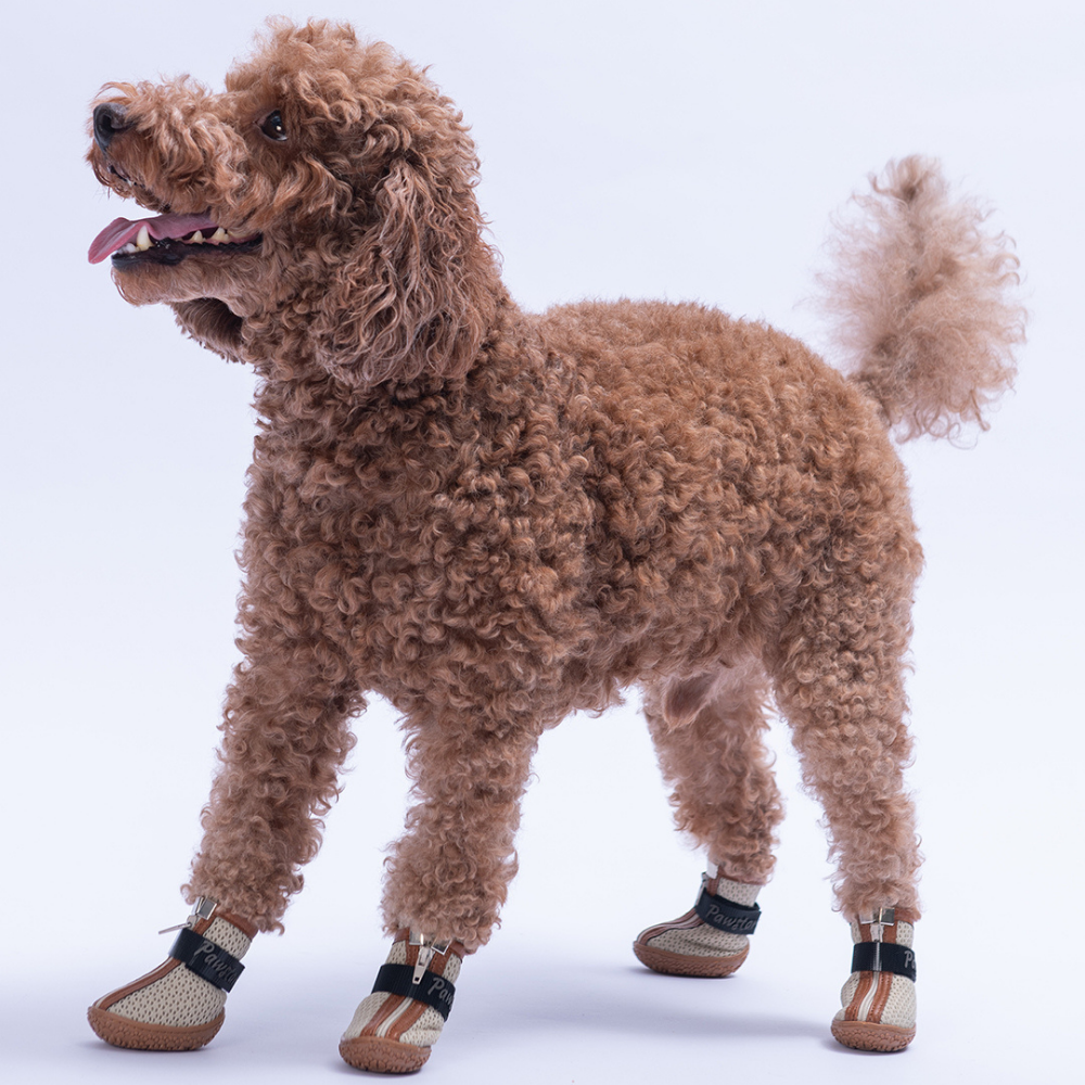 PawStar Kahverengi Airmesh Köpek Ayakkabısı Size:4