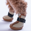 PawStar Kahverengi Airmesh Köpek Ayakkabısı Size:4