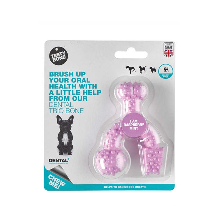 Tasty Bone Trio Bone Toy XSmall Nylon Raspberry Mint 747984