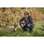 Curli Apple Leather Leash Black S