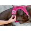 Curli Belka Harness Air-Mesh Light-Tan 3XL